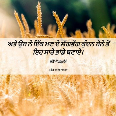 Picture 06 - ਖ਼ਰੋਜ 37:24 PANIRV - ਅਤੇ ਉਸ ਨੇ ਇੱਕ ਮਣ ਦੇ - Bible Verse Picture