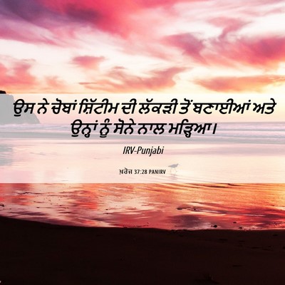 Picture 06 - ਖ਼ਰੋਜ 37:28 PANIRV - ਉਸ ਨੇ ਚੋਬਾਂ - Bible Verse Picture