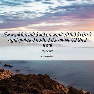Picture 06 - ਖ਼ਰੋਜ 37:8 PANIRV - ਇੱਕ ਕਰੂਬੀ ਇੱਕ ਸਿਰੇ - Bible Verse Picture