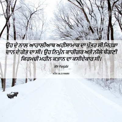Picture 06 - ਖ਼ਰੋਜ 38:23 PANIRV - ਉਹ ਦੇ ਨਾਲ ਆਹਾਲੀਆਬ - Bible Verse Picture