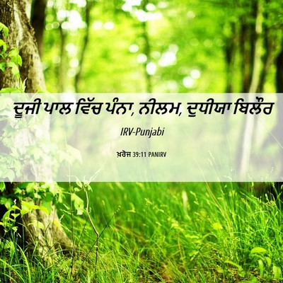 Picture 06 - ਖ਼ਰੋਜ 39:11 PANIRV - ਦੂਜੀ ਪਾਲ ਵਿੱਚ ਪੰਨਾ, - Bible Verse Picture