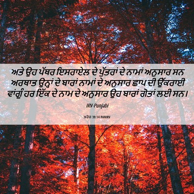 Picture 06 - ਖ਼ਰੋਜ 39:14 PANIRV - ਅਤੇ ਉਹ ਪੱਥਰ ਇਸਰਾਏਲ - Bible Verse Picture