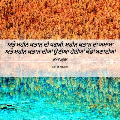 Picture 06 - ਖ਼ਰੋਜ 39:28 PANIRV - ਅਤੇ ਮਹੀਨ ਕਤਾਨ ਦੀ - Bible Verse Picture