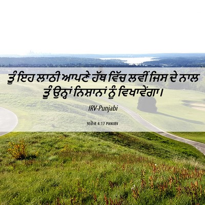Picture 06 - ਖ਼ਰੋਜ 4:17 PANIRV - ਤੂੰ ਇਹ ਲਾਠੀ ਆਪਣੇ - Bible Verse Picture
