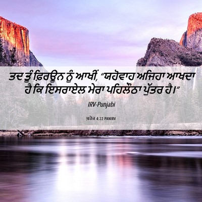 Picture 06 - ਖ਼ਰੋਜ 4:22 PANIRV - ਤਦ ਤੂੰ ਫ਼ਿਰਊਨ ਨੂੰ - Bible Verse Picture