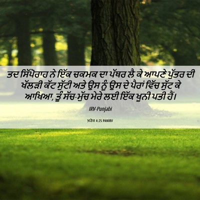 Picture 06 - ਖ਼ਰੋਜ 4:25 PANIRV - ਤਦ ਸਿੱਪੋਰਾਹ ਨੇ ਇੱਕ - Bible Verse Picture