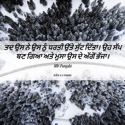 Picture 06 - ਖ਼ਰੋਜ 4:3 PANIRV - ਤਦ ਉਸ ਨੇ ਉਸ ਨੂੰ - Bible Verse Picture