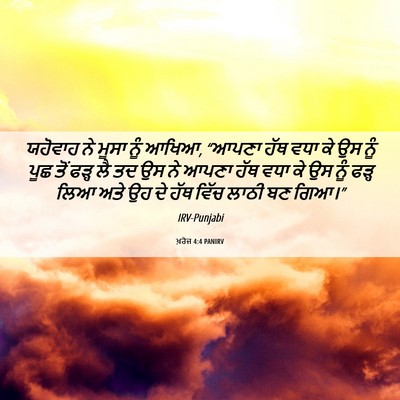 Picture 06 - ਖ਼ਰੋਜ 4:4 PANIRV - ਯਹੋਵਾਹ ਨੇ ਮੂਸਾ ਨੂੰ - Bible Verse Picture