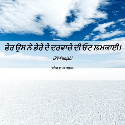 Picture 06 - ਖ਼ਰੋਜ 40:28 PANIRV - ਫੇਰ ਉਸ ਨੇ ਡੇਰੇ ਦੇ - Bible Verse Picture