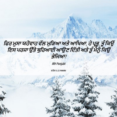 Picture 06 - ਖ਼ਰੋਜ 5:22 PANIRV - ਫਿਰ ਮੂਸਾ ਯਹੋਵਾਹ - Bible Verse Picture