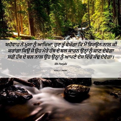 Picture 06 - ਖ਼ਰੋਜ 6:1 PANIRV - ਯਹੋਵਾਹ ਨੇ ਮੂਸਾ ਨੂੰ - Bible Verse Picture