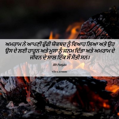 Picture 06 - ਖ਼ਰੋਜ 6:20 PANIRV - ਅਮਰਾਮ ਨੇ ਆਪਣੀ - Bible Verse Picture