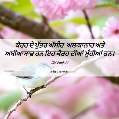 Picture 06 - ਖ਼ਰੋਜ 6:24 PANIRV - ਕੋਰਹ ਦੇ ਪੁੱਤਰ - Bible Verse Picture