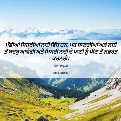 Picture 06 - ਖ਼ਰੋਜ 7:18 PANIRV - ਮੱਛੀਆਂ ਜਿਹੜੀਆਂ - Bible Verse Picture