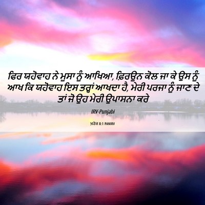 Picture 06 - ਖ਼ਰੋਜ 8:1 PANIRV - ਫਿਰ ਯਹੋਵਾਹ ਨੇ ਮੂਸਾ - Bible Verse Picture