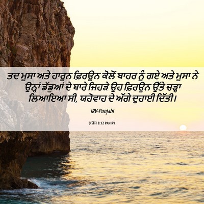 Picture 06 - ਖ਼ਰੋਜ 8:12 PANIRV - ਤਦ ਮੂਸਾ ਅਤੇ ਹਾਰੂਨ - Bible Verse Picture