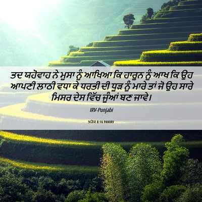 Picture 06 - ਖ਼ਰੋਜ 8:16 PANIRV - ਤਦ ਯਹੋਵਾਹ ਨੇ ਮੂਸਾ - Bible Verse Picture