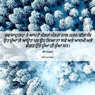 Picture 06 - ਖ਼ਰੋਜ 8:18 PANIRV - ਤਦ ਜਾਦੂਗਰਾਂ ਨੇ - Bible Verse Picture
