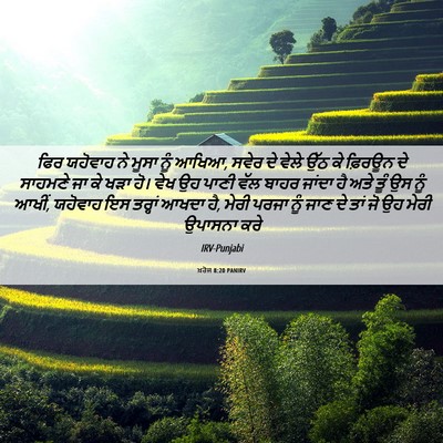 Picture 06 - ਖ਼ਰੋਜ 8:20 PANIRV - ਫਿਰ ਯਹੋਵਾਹ ਨੇ ਮੂਸਾ - Bible Verse Picture