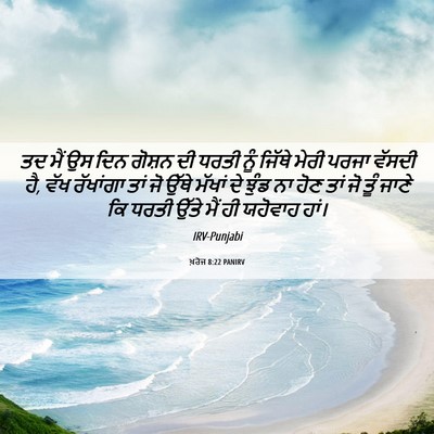 Picture 06 - ਖ਼ਰੋਜ 8:22 PANIRV - ਤਦ ਮੈਂ ਉਸ ਦਿਨ ਗੋਸ਼ਨ - Bible Verse Picture
