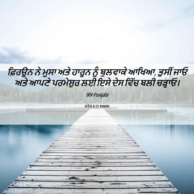 Picture 06 - ਖ਼ਰੋਜ 8:25 PANIRV - ਫ਼ਿਰਊਨ ਨੇ ਮੂਸਾ ਅਤੇ - Bible Verse Picture