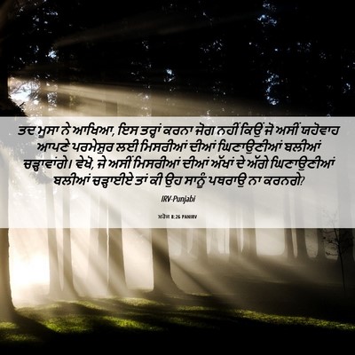 Picture 06 - ਖ਼ਰੋਜ 8:26 PANIRV - ਤਦ ਮੂਸਾ ਨੇ ਆਖਿਆ, ਇਸ - Bible Verse Picture