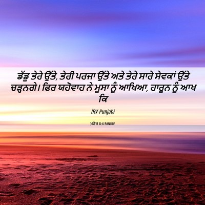 Picture 06 - ਖ਼ਰੋਜ 8:4 PANIRV - ਡੱਡੂ ਤੇਰੇ ਉੱਤੇ, - Bible Verse Picture