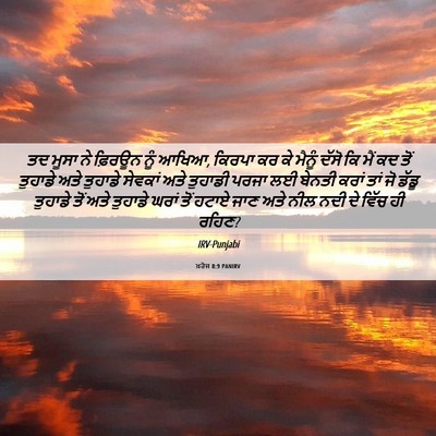 Picture 06 - ਖ਼ਰੋਜ 8:9 PANIRV - ਤਦ ਮੂਸਾ ਨੇ ਫ਼ਿਰਊਨ - Bible Verse Picture