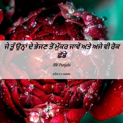 Picture 06 - ਖ਼ਰੋਜ 9:2 PANIRV - ਜੇ ਤੂੰ ਉਨ੍ਹਾਂ ਦੇ - Bible Verse Picture