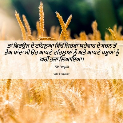 Picture 06 - ਖ਼ਰੋਜ 9:20 PANIRV - ਤਾਂ ਫ਼ਿਰਊਨ ਦੇ - Bible Verse Picture