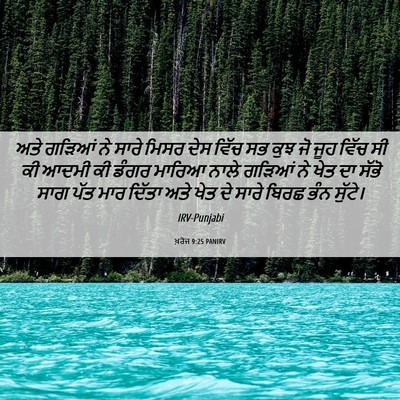 Picture 06 - ਖ਼ਰੋਜ 9:25 PANIRV - ਅਤੇ ਗੜਿਆਂ ਨੇ ਸਾਰੇ - Bible Verse Picture