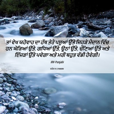 Picture 06 - ਖ਼ਰੋਜ 9:3 PANIRV - ਤਾਂ ਵੇਖ ਯਹੋਵਾਹ ਦਾ - Bible Verse Picture