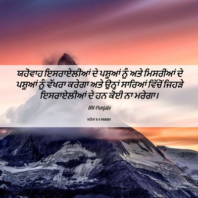 Picture 06 - ਖ਼ਰੋਜ 9:4 PANIRV - ਯਹੋਵਾਹ ਇਸਰਾਏਲੀਆਂ - Bible Verse Picture