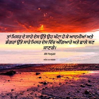 Picture 06 - ਖ਼ਰੋਜ 9:9 PANIRV - ਤਾਂ ਮਿਸਰ ਦੇ ਸਾਰੇ - Bible Verse Picture