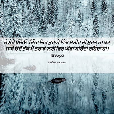 Picture 06 - ਗਲਾਤਿਯਾ 4:19 PANIRV - ਹੇ ਮੇਰੇ ਬੱਚਿਓ, - Bible Verse Picture