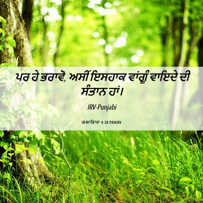 Picture 06 - ਗਲਾਤਿਯਾ 4:28 PANIRV - ਪਰ ਹੇ ਭਰਾਵੋ, ਅਸੀਂ - Bible Verse Picture