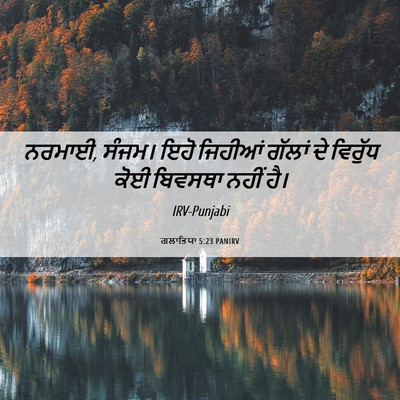 Picture 06 - ਗਲਾਤਿਯਾ 5:23 PANIRV - ਨਰਮਾਈ, ਸੰਜਮ। ਇਹੋ - Bible Verse Picture