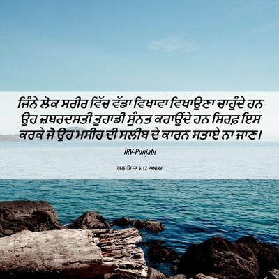 Picture 06 - ਗਲਾਤਿਯਾ 6:12 PANIRV - ਜਿੰਨੇ ਲੋਕ ਸਰੀਰ - Bible Verse Picture