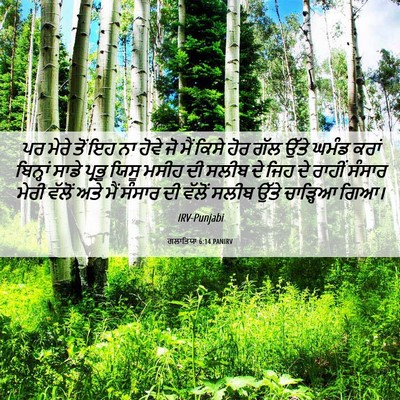 Picture 06 - ਗਲਾਤਿਯਾ 6:14 PANIRV - ਪਰ ਮੇਰੇ ਤੋਂ ਇਹ ਨਾ - Bible Verse Picture