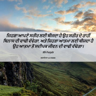 Picture 06 - ਗਲਾਤਿਯਾ 6:8 PANIRV - ਜਿਹੜਾ ਆਪਣੇ ਸਰੀਰ ਲਈ - Bible Verse Picture
