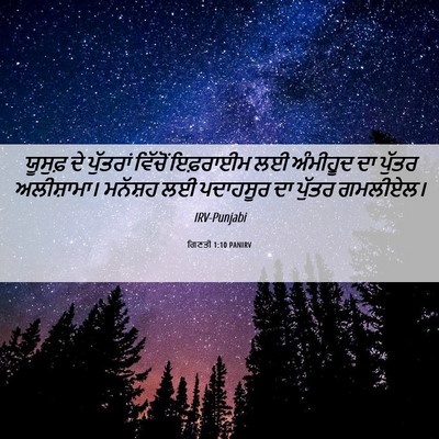 Picture 06 - ਗਿਣਤੀ 1:10 PANIRV - ਯੂਸੁਫ਼ ਦੇ ਪੁੱਤਰਾਂ - Bible Verse Picture