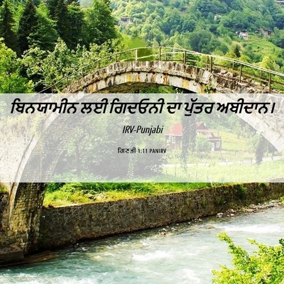 Picture 06 - ਗਿਣਤੀ 1:11 PANIRV - ਬਿਨਯਾਮੀਨ ਲਈ - Bible Verse Picture