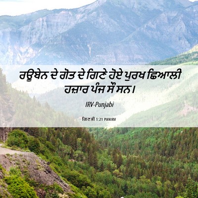 Picture 06 - ਗਿਣਤੀ 1:21 PANIRV - ਰਊਬੇਨ ਦੇ ਗੋਤ ਦੇ - Bible Verse Picture