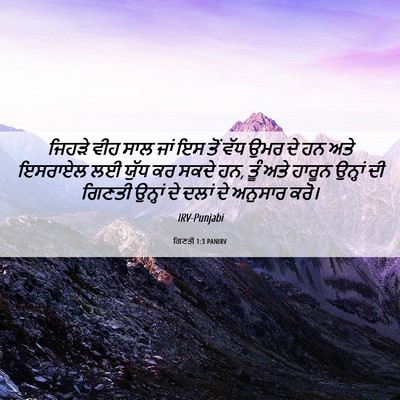 Picture 06 - ਗਿਣਤੀ 1:3 PANIRV - ਜਿਹੜੇ ਵੀਹ ਸਾਲ ਜਾਂ - Bible Verse Picture