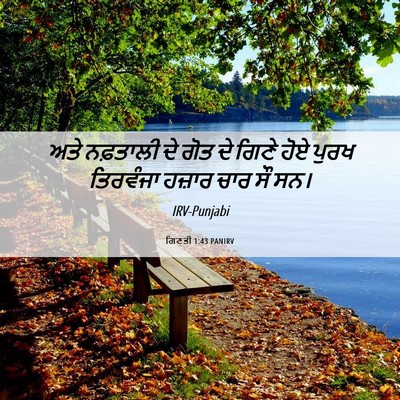 Picture 06 - ਗਿਣਤੀ 1:43 PANIRV - ਅਤੇ ਨਫ਼ਤਾਲੀ ਦੇ ਗੋਤ - Bible Verse Picture