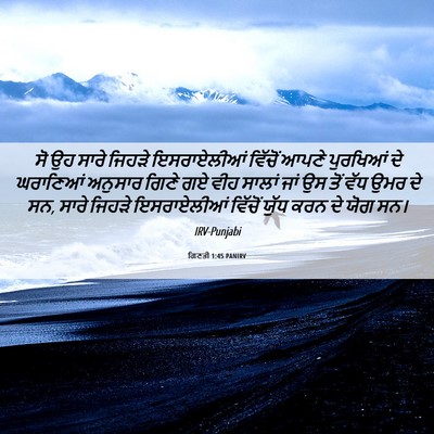 Picture 06 - ਗਿਣਤੀ 1:45 PANIRV - ਸੋ ਉਹ ਸਾਰੇ ਜਿਹੜੇ - Bible Verse Picture