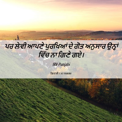 Picture 06 - ਗਿਣਤੀ 1:47 PANIRV - ਪਰ ਲੇਵੀ ਆਪਣੇ - Bible Verse Picture