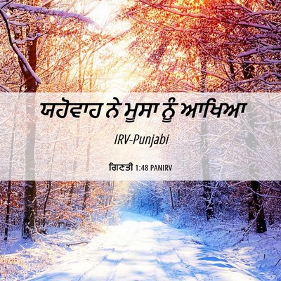Picture 06 - ਗਿਣਤੀ 1:48 PANIRV - ਯਹੋਵਾਹ ਨੇ ਮੂਸਾ ਨੂੰ - Bible Verse Picture