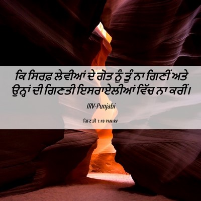 Picture 06 - ਗਿਣਤੀ 1:49 PANIRV - ਕਿ ਸਿਰਫ਼ ਲੇਵੀਆਂ ਦੇ - Bible Verse Picture