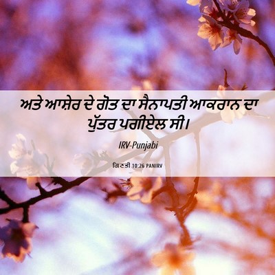 Picture 06 - ਗਿਣਤੀ 10:26 PANIRV - ਅਤੇ ਆਸ਼ੇਰ ਦੇ ਗੋਤ ਦਾ - Bible Verse Picture